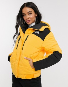 Желтая дутая куртка The North Face Himalayan-Желтый