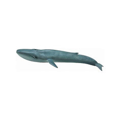 Коллекционная фигурка Collecta Голубой кит