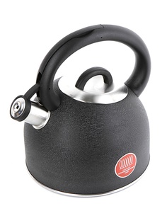 Чайник Rondell 2.7L RDS-424 Infinity