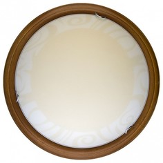Накладной светильник Ginger TL9620Y-00OA Top Light