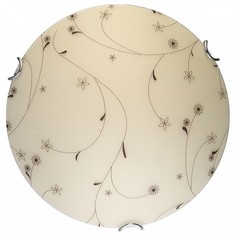 Накладной светильник Karissa TL9651Y-00WH Top Light