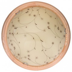 Накладной светильник Karissa TL9650Y-00PN Top Light