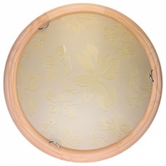 Накладной светильник Jane TL9640Y-00PN Top Light