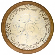 Накладной светильник Flora TL9600Y-00OA Top Light