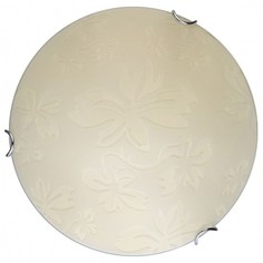 Накладной светильник Jane TL9641Y-00WH Top Light