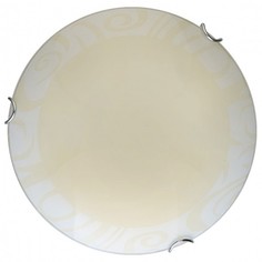 Накладной светильник Ginger TL9621Y-00WH Top Light