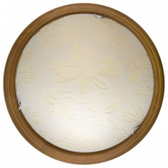 Накладной светильник Jane TL9640Y-00OA Top Light