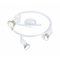 Спот Olana 57381-3 Globo