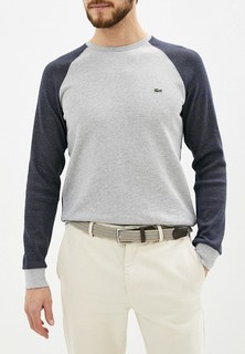 Свитшот Lacoste