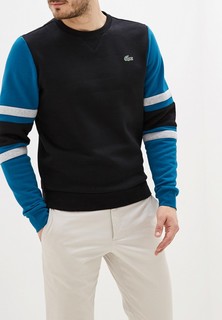 Свитшот Lacoste