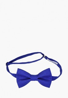 Бабочка Rainbowtie