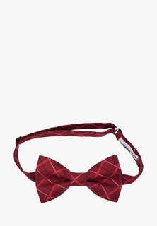 Бабочка Rainbowtie