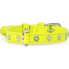 Ошейник CoLLaR Glamour с клеевыми стразами цветочек ширина 12мм длина 21-29см лайм для собак (32695)