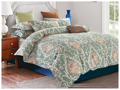 Комплект постельного белья Cleo 15/008-SR