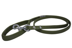 Поводок для собак ANGEL Alpine, зеленый, 1х122см
