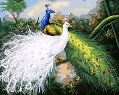 Картина по номерам Paintboy "Два павлина", 40x50 см