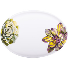 Блюдо овальное 38x27см Nuova Cer Cactus, многоцветие