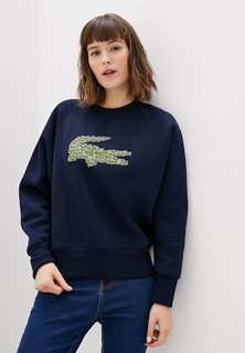 Свитшот Lacoste