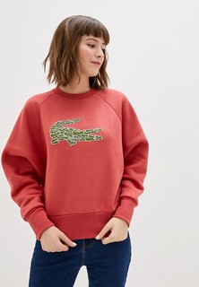 Свитшот Lacoste