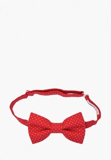 Бабочка Rainbowtie