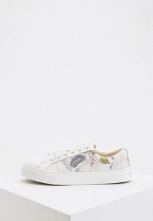 Кеды Ted Baker London
