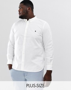 Оксфордская рубашка с длинными рукавами French Connection Plus-Белый
