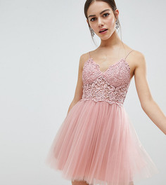 Ажурное платье мини из тюля на бретельках ASOS DESIGN Petite-Розовый