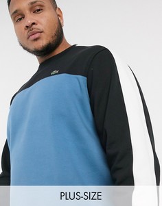 Свитшот с круглым вырезом Lacoste PLUS-Синий