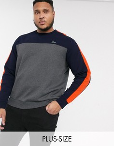 Свитшот с круглым вырезом Lacoste PLUS-Серый
