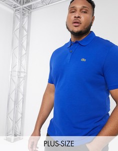 Футболка-поло Lacoste PLUS-Синий