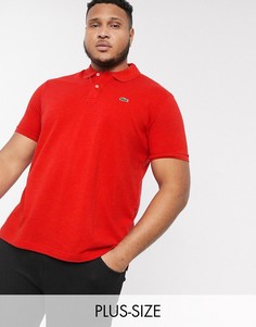 Футболка-поло с логотипом Lacoste PLUS-Красный