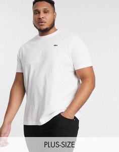 Футболка с логотипом Lacoste PLUS-Белый