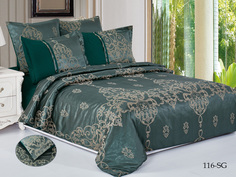 Постельное белье Cleo Skating (2 спальное евро)