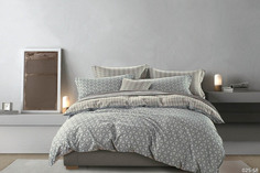 Постельное белье Cleo Terra (семейное)