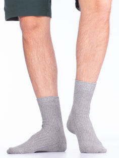 Носки мужские Hobby Line серые 39-44