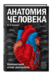 Анатомия человека: компактный атлас-раскраска Эксмо