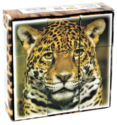 Кубики "Дикие кошки" (без обклейки), 9 шт 00721ДК Десятое Королевство