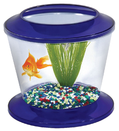 Аквариум для рыб AA-Aquariums GOLD FISH BOWL, бесшовный, синий, 4 л