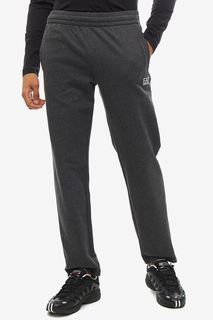 Брюки мужские EA7 8NPP51 PJ05Z 3909 серые 2XL