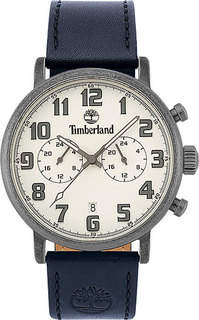 Наручные часы кварцевые мужские Timberland TBL.15405JSQS/04