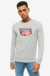 Свитшот мужской Tommy Jeans DM0DM06589 038 серый L