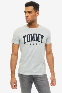 Футболка мужская Tommy Jeans DM0DM06501 038 серая M