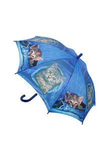 Зонт-трость Zemsa