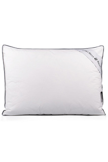 Pillow, 50x70 Beverly Hills Polo Club
