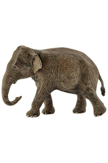 Азиатский слон, самка Schleich