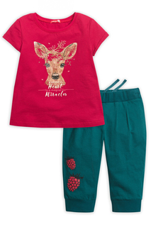 Комплект Pelican