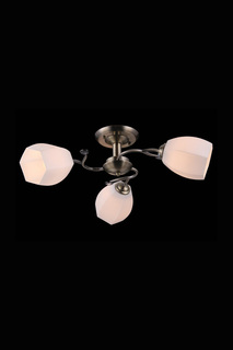 Люстра Natali Kovaltseva