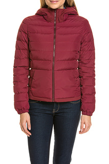 jacket Lacoste