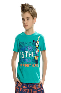 Футболка Pelican