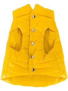 Moncler x Poldo пуховик для собаки из коллаборации с Poldo